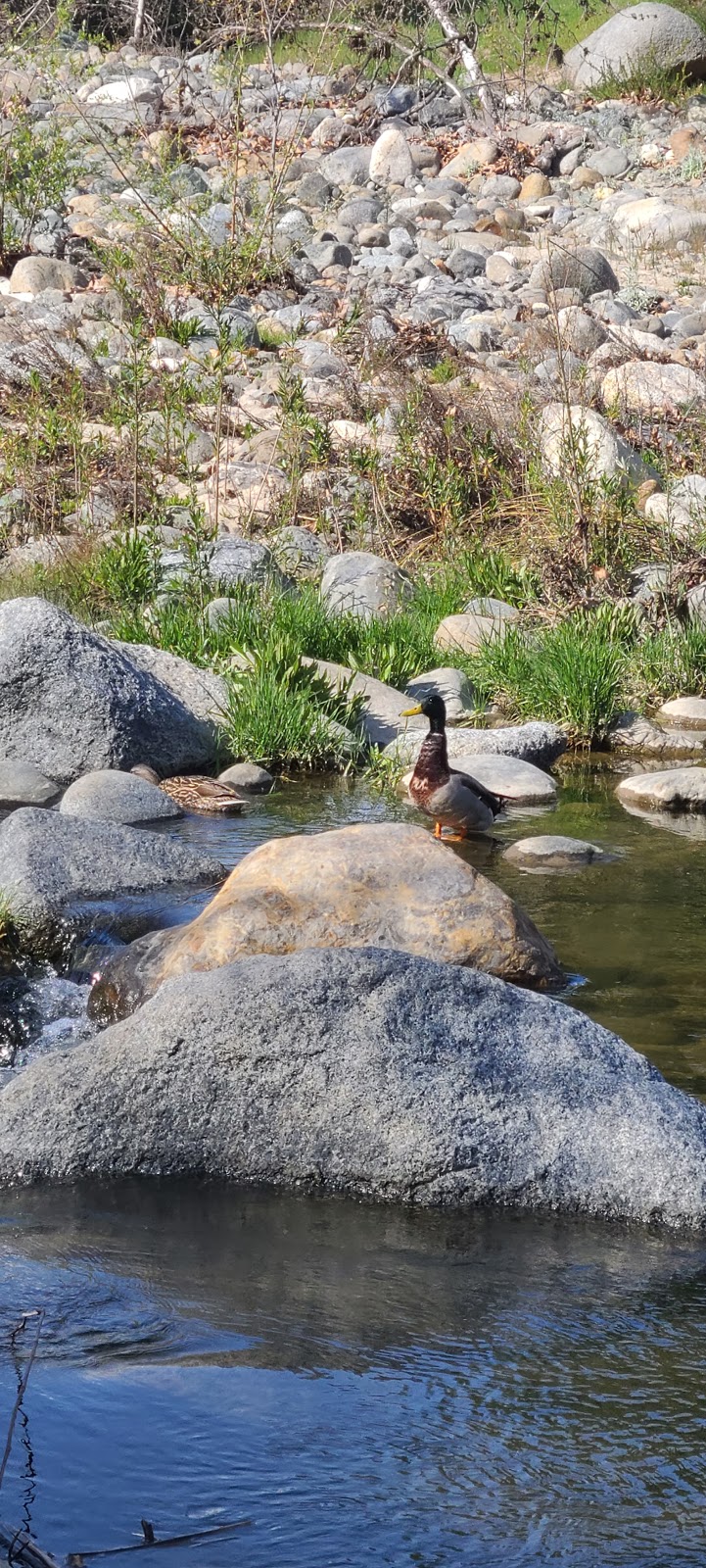 Fallbrook