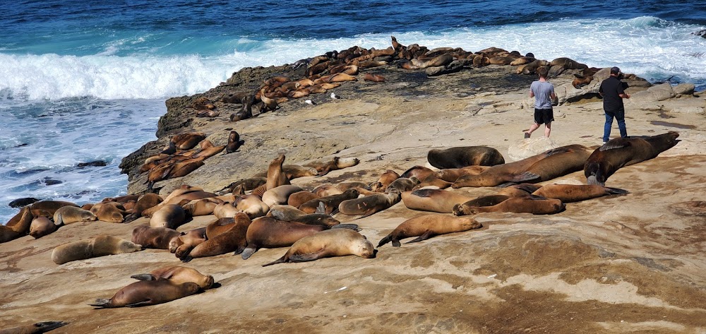 La Jolla