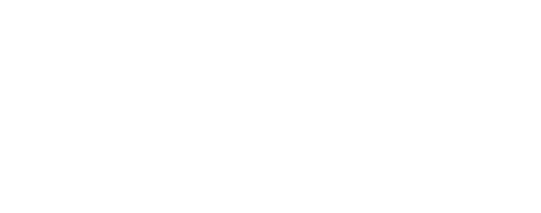 Alliance of Professionals & Consultants, Inc.