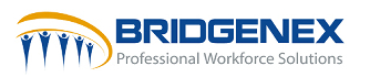 Bridgenex Workforce Solutions