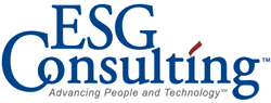 ESG Consulting