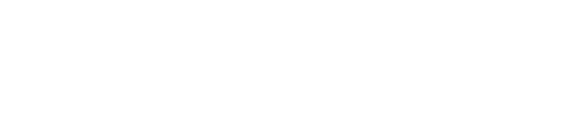 Premier Talent Partners